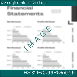 グローバルリサーチ調査資料のイメージ